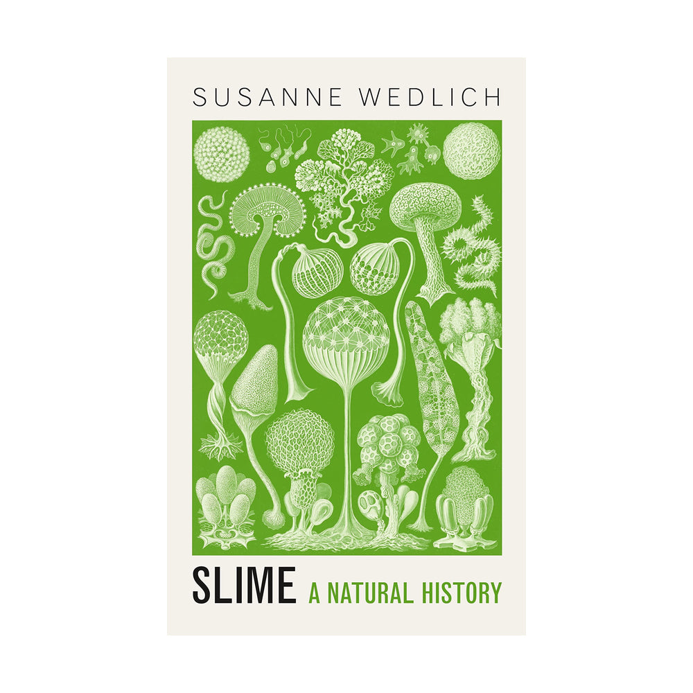 Slime: A Natural History