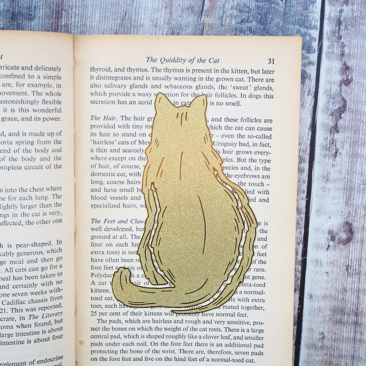 Cat Lover Brass Bookmark