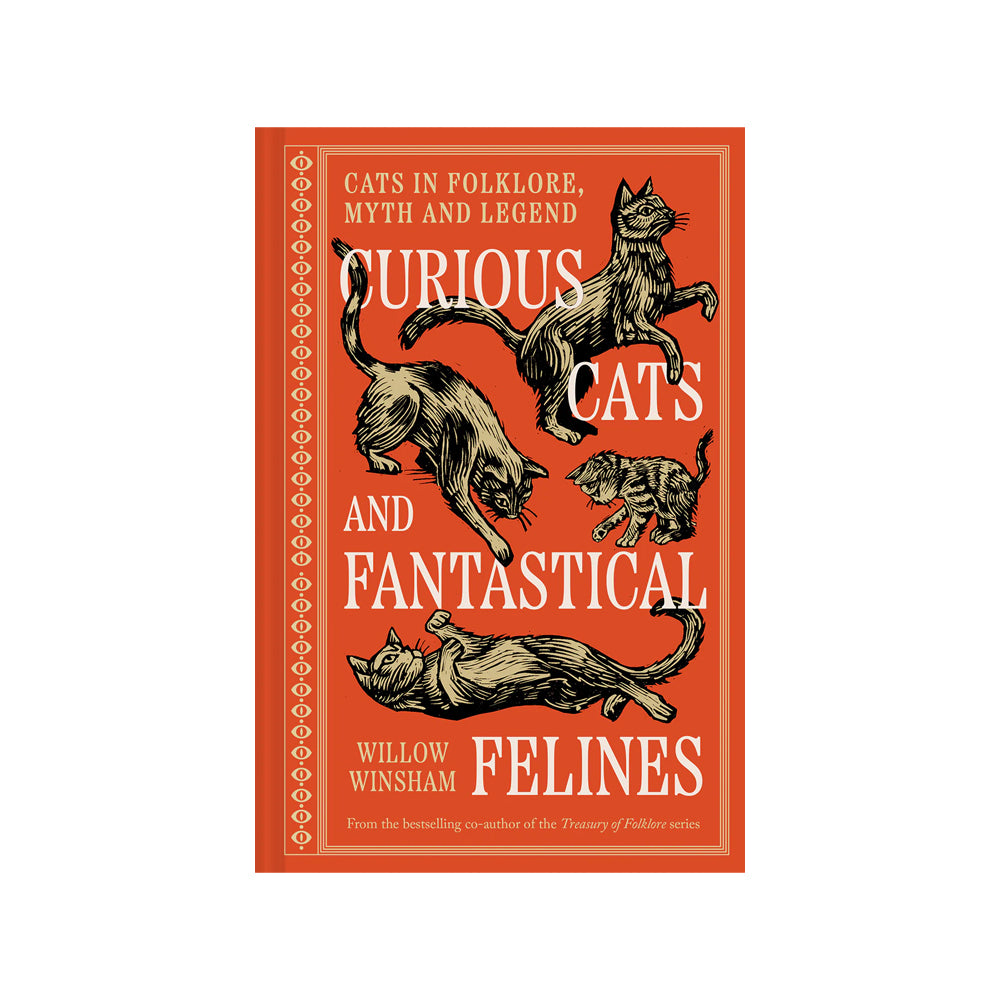 Curious Cats and Fantastical Felines