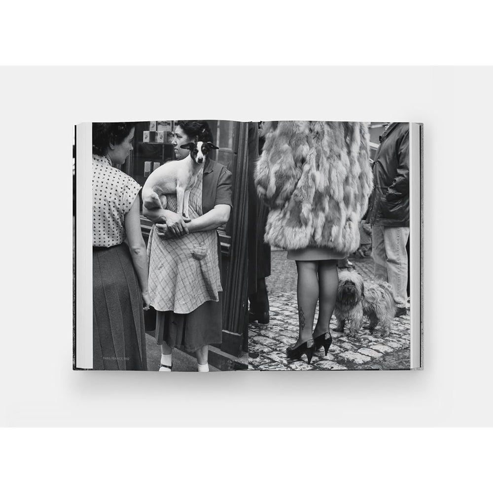 Dog Dogs by Elliot Erwitt