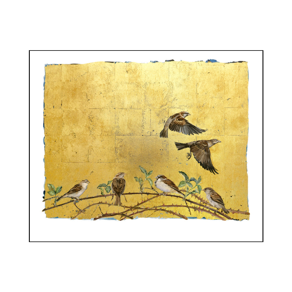 Jackie Morris Limited Edition Print - Sparrow