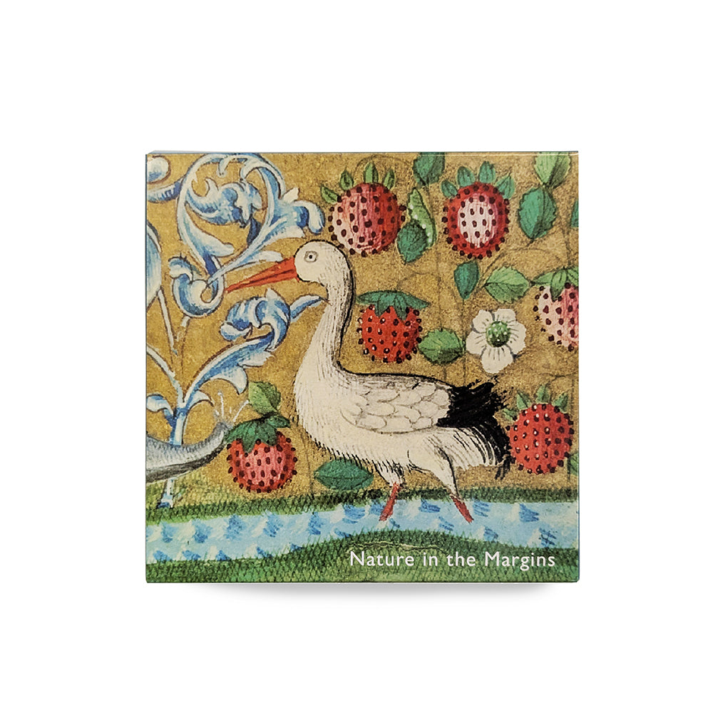 Nature in the Margins Notecard Wallet