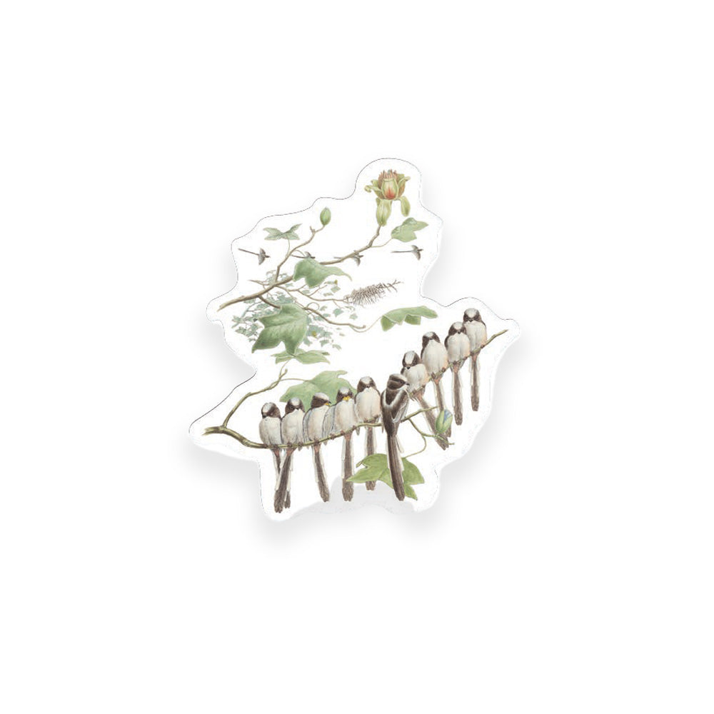 Long Tailed Tit Die Cut Postcard
