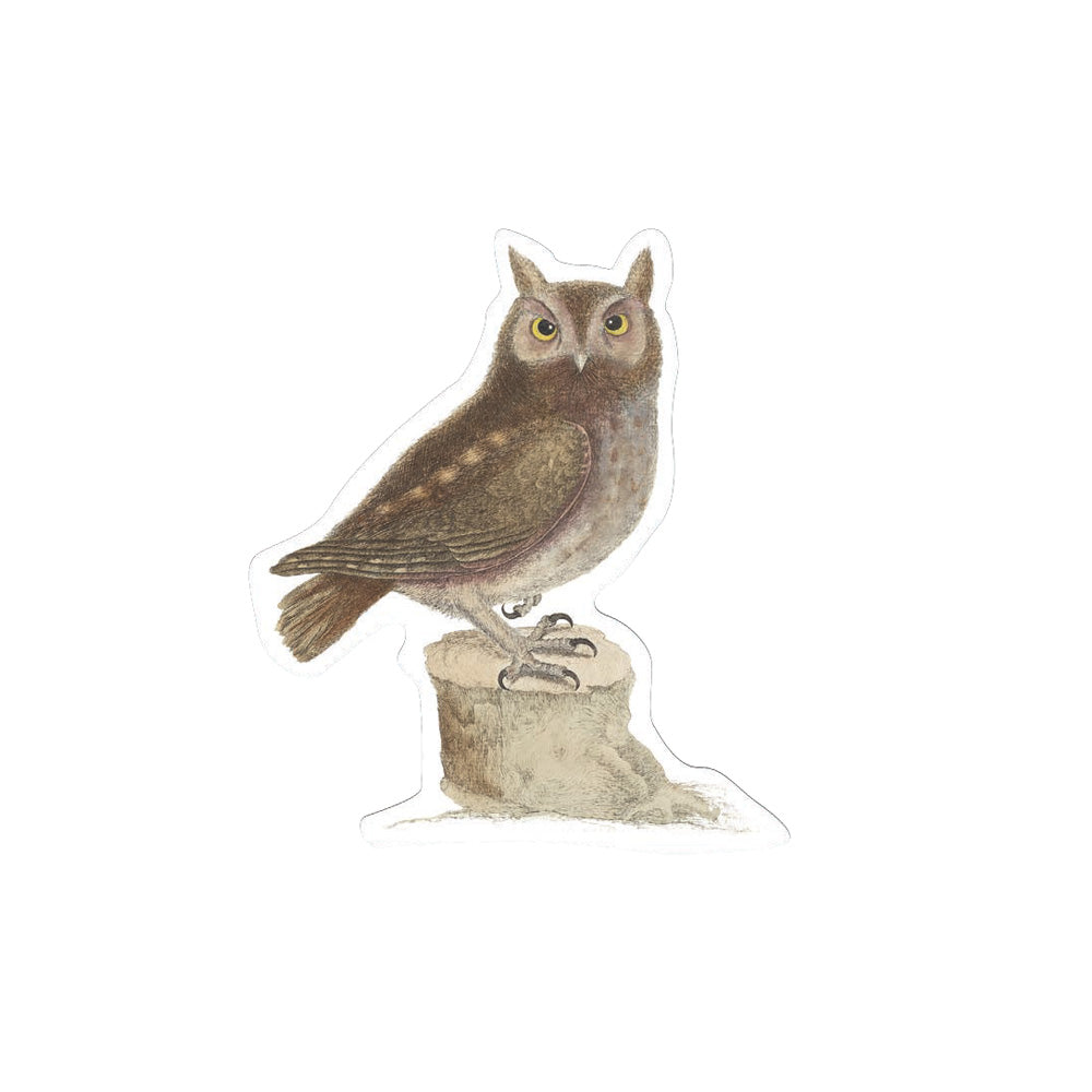 Owl Die Cut Postcard