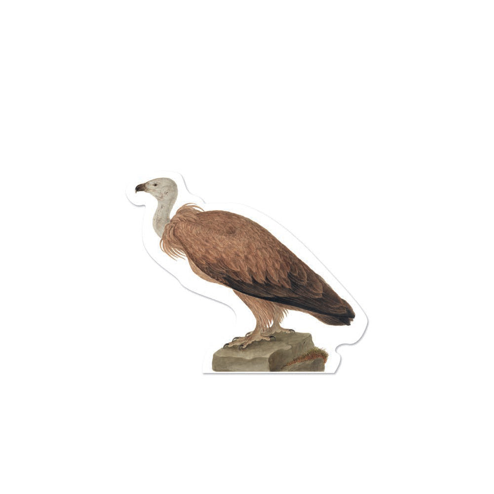 Vulture Die Cut Postcard