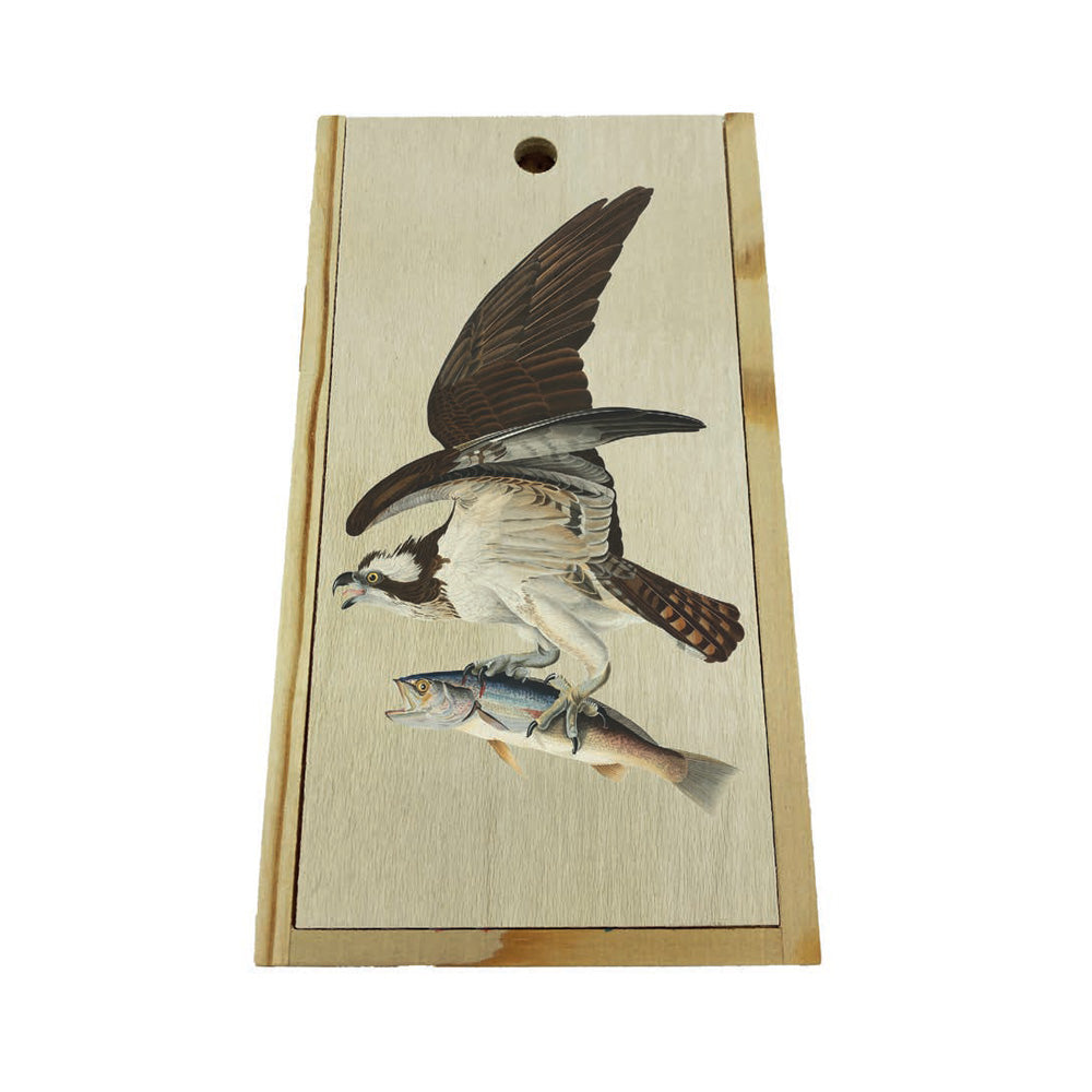 Audubon's Osprey Box of Pencil Crayons