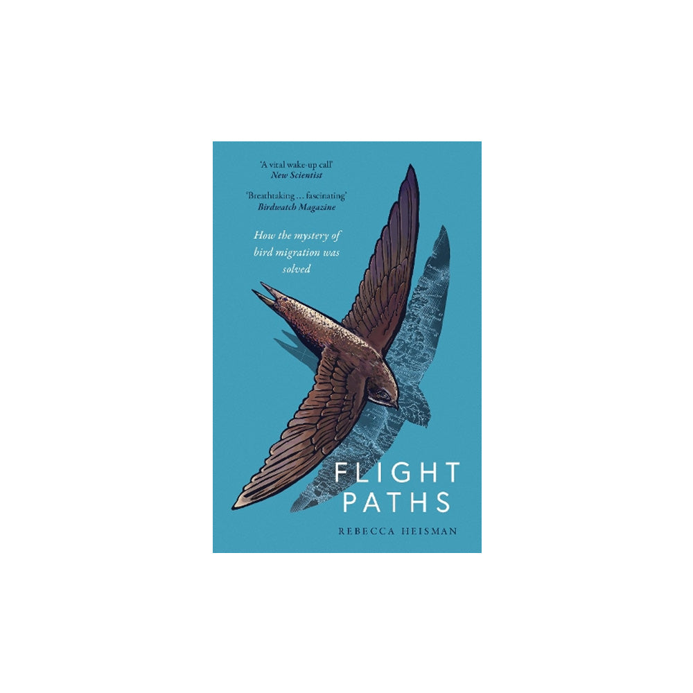 Flight Paths