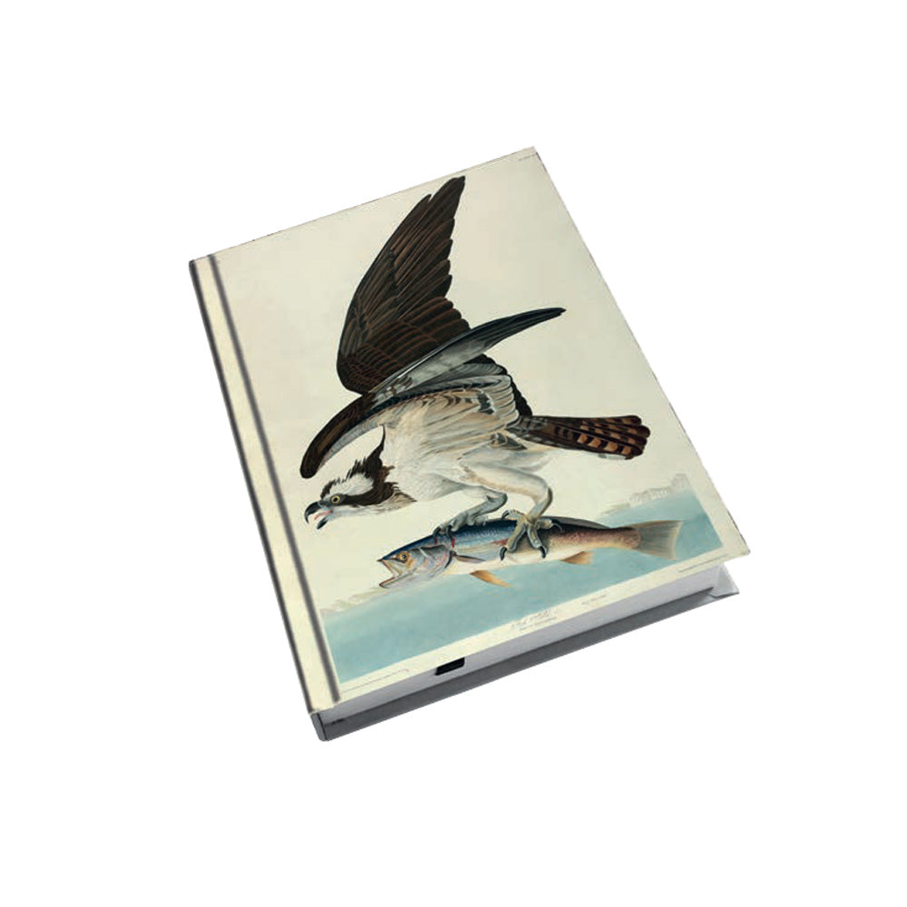 Audubon's Osprey and Weakfish A5 Notebook