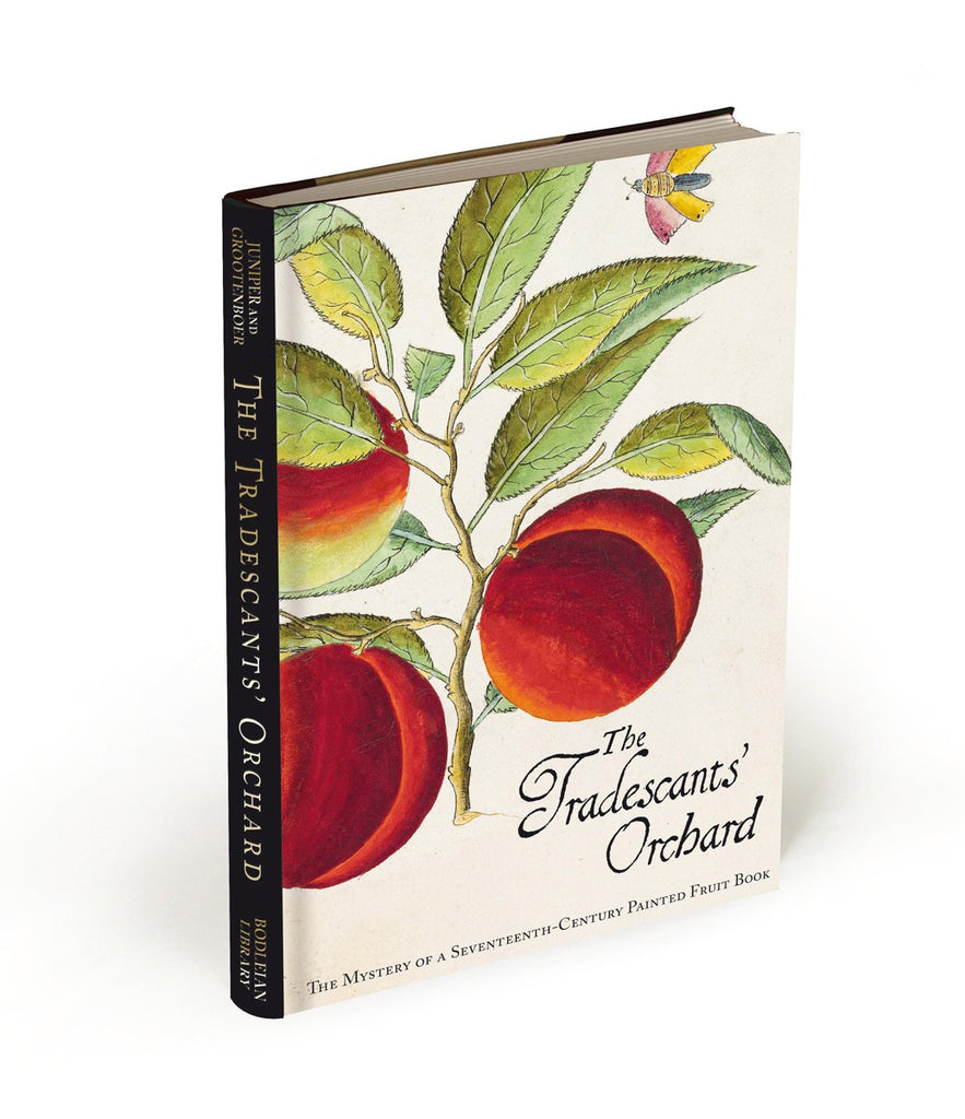 The Tradescants' Orchard