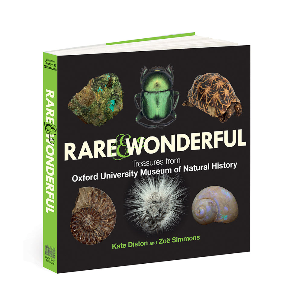 Rare & Wonderful: Treasures from the Oxford University Museum of Natural History