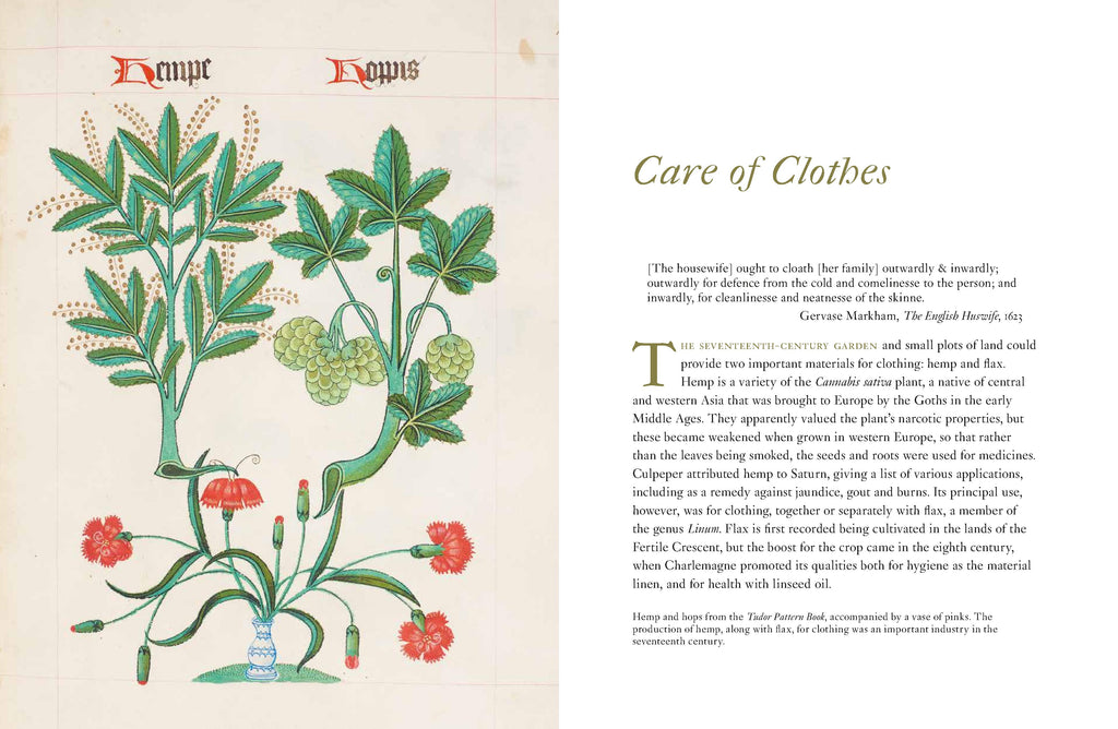 Domestic Herbal, The: Plants for the Home in the Seventeenth Century