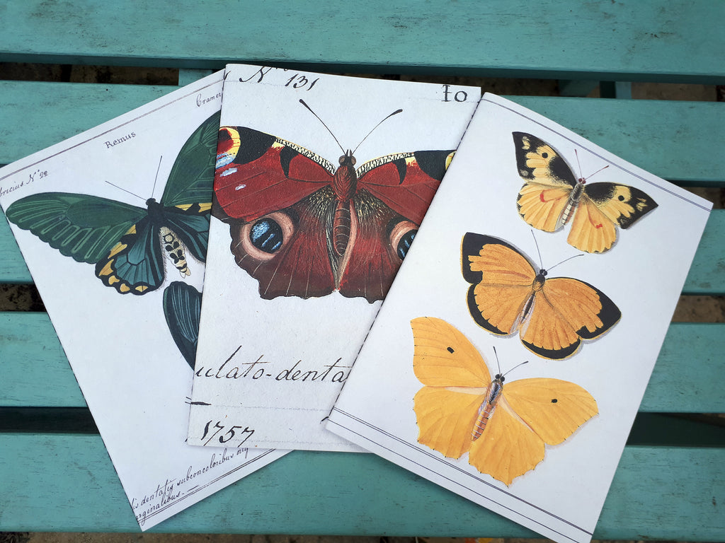 Butterfly Notebook Set