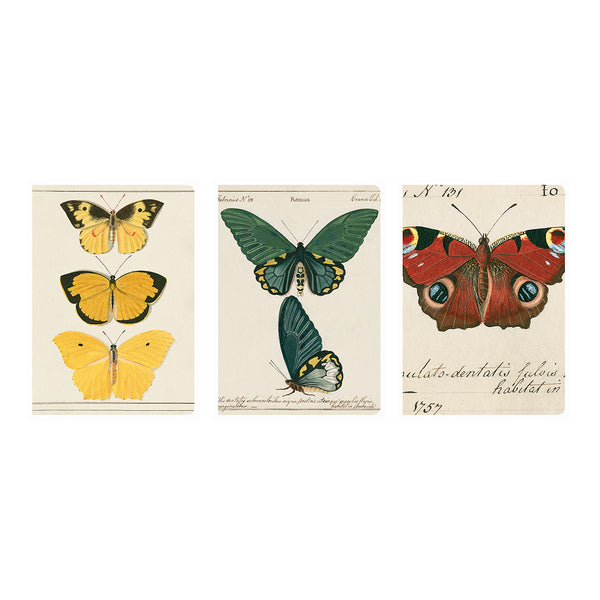 Butterfly Notebook Set – Bodleian Libraries