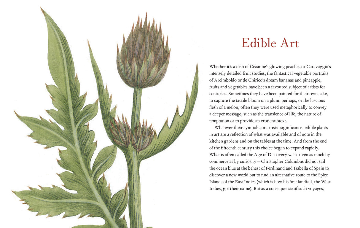 Cornucopia of Fruit & Vegetables, A: Illustrations from an Eighteenth-Century Botanical Treasury