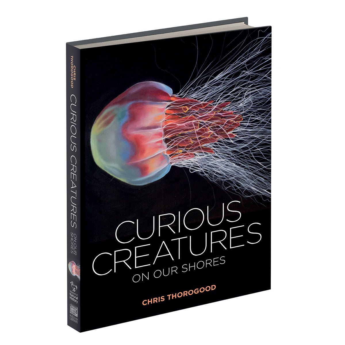 Curious Creatures on our Shores