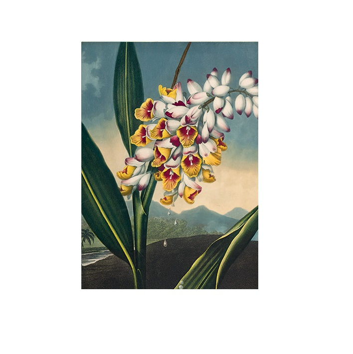 The Nodding Renealma Greetings Card