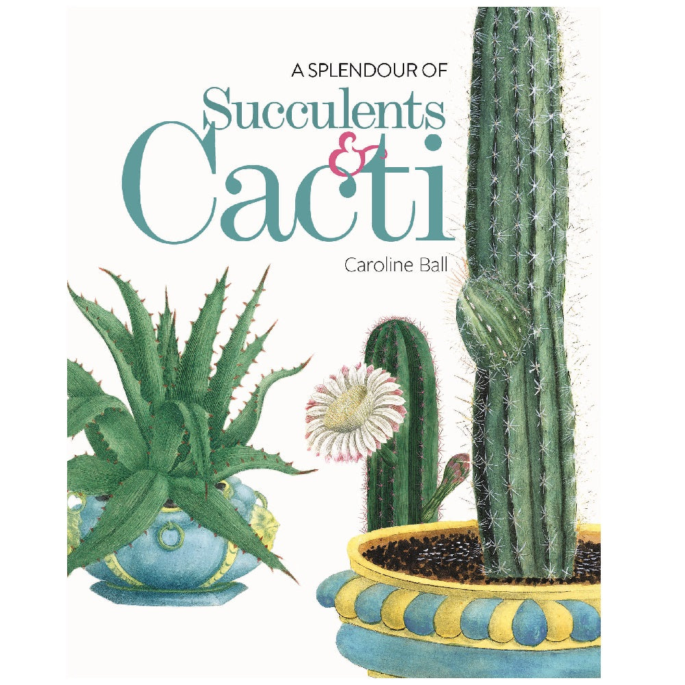 A Splendour of Succulents & Cacti
