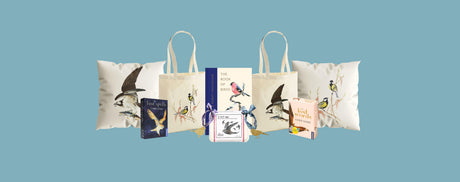 Wonder of Birds