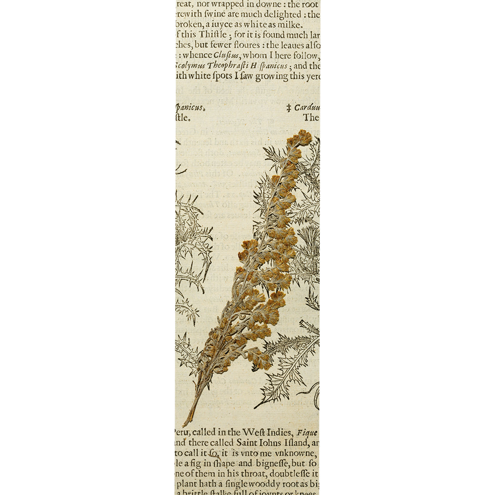 Flowering Spike of Artemisia Bookmark