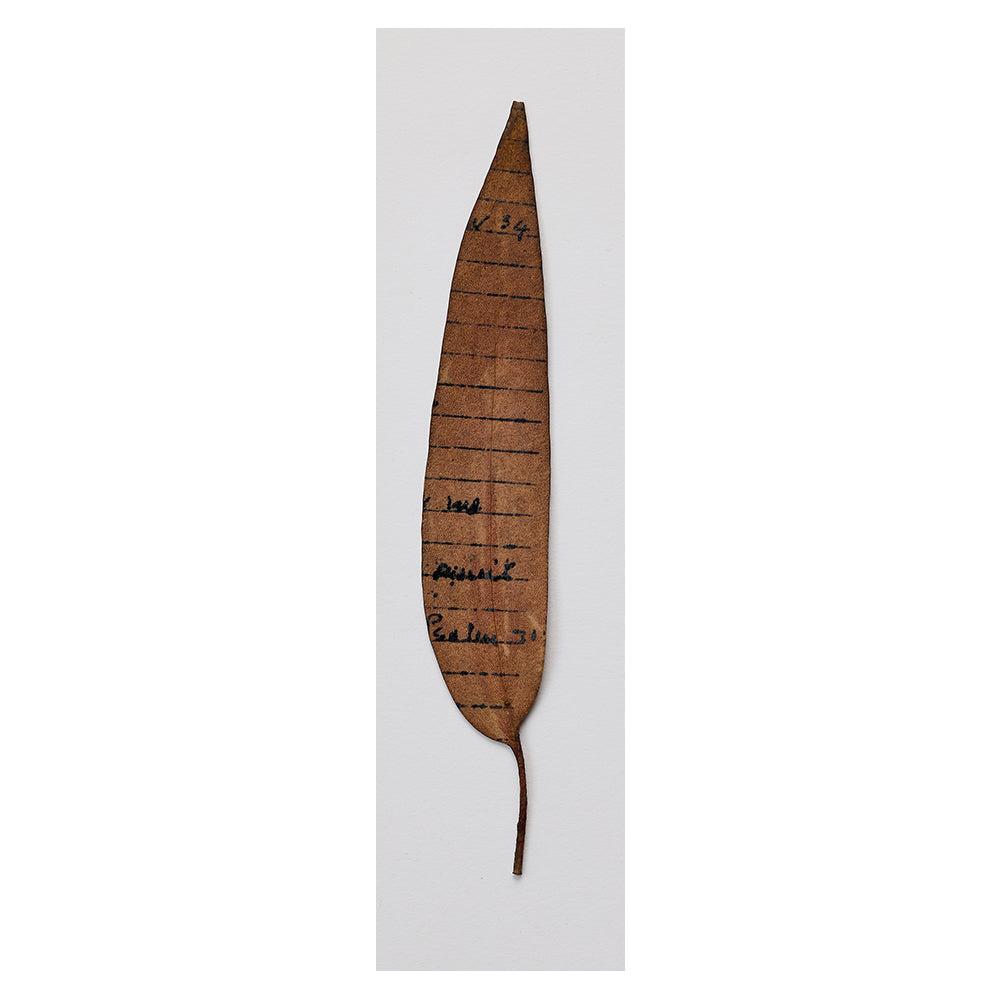 Leaf Lithograph Bookmark