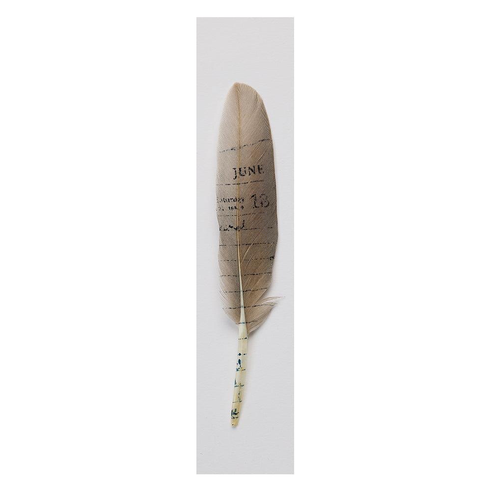 Feather Lithograph Bookmark