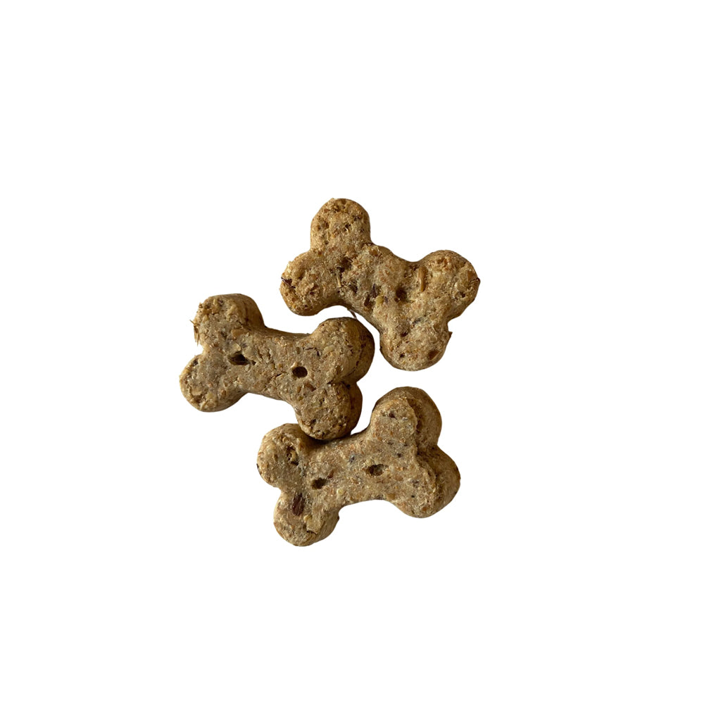 BrewBix Healthy Dog Treats