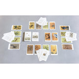 The Lost Words Card Game