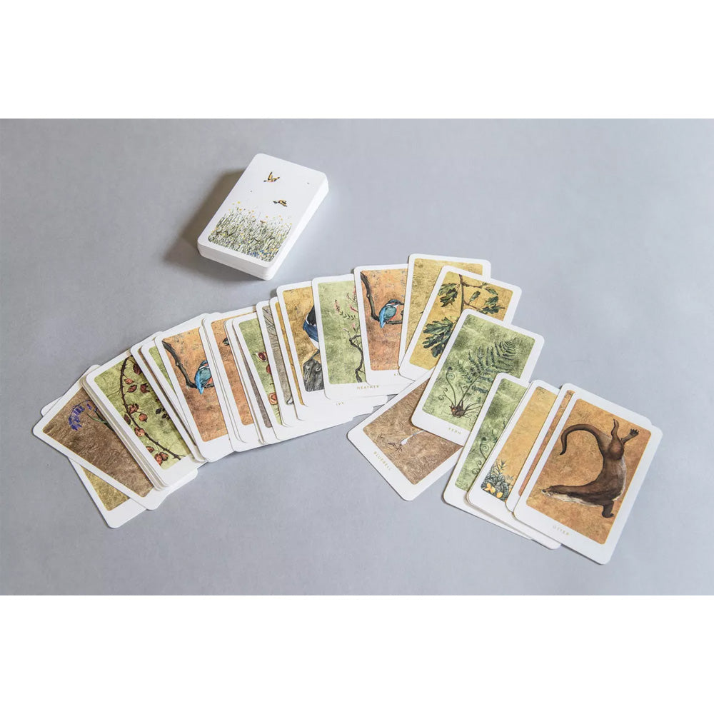 The Lost Words Card Game