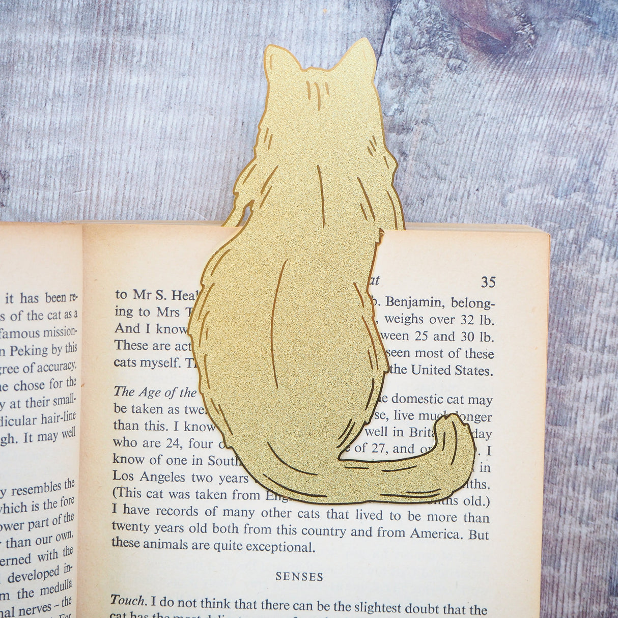 Cat Lover Brass Bookmark