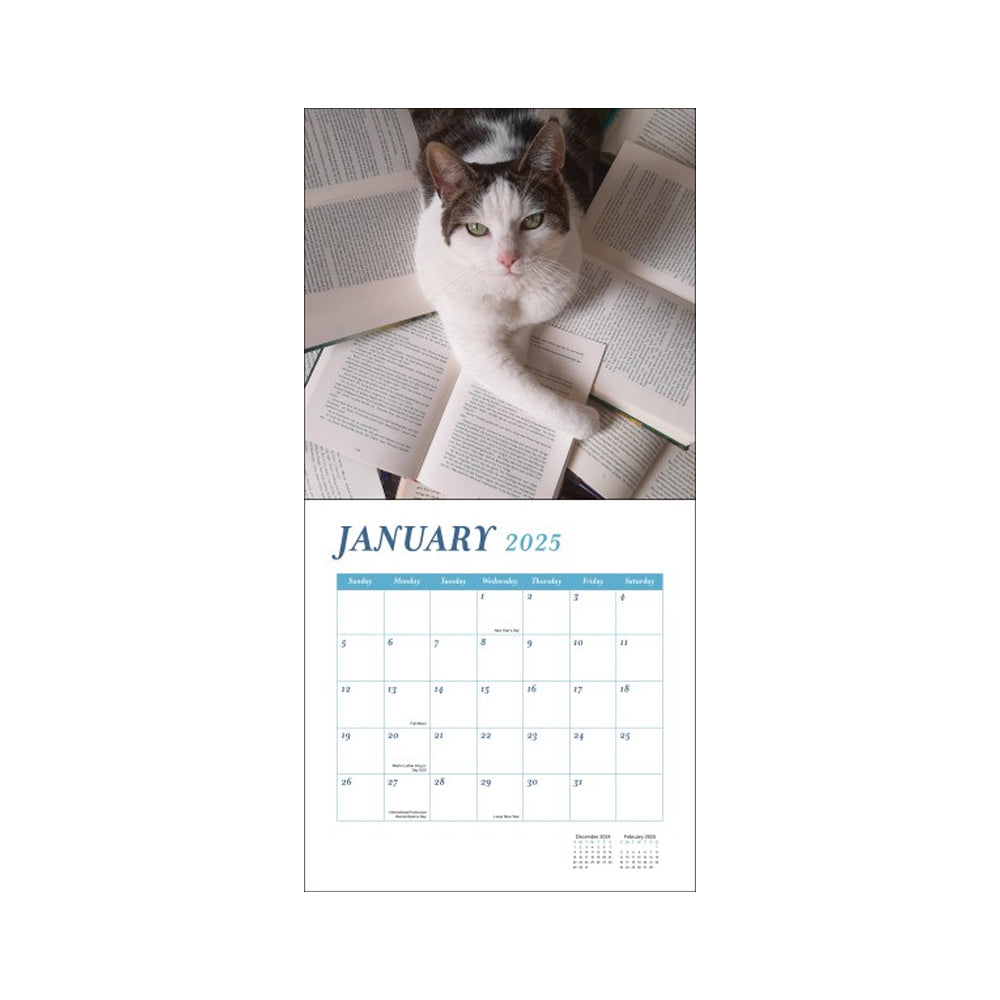 Cats and Books Wall Calendar 2025