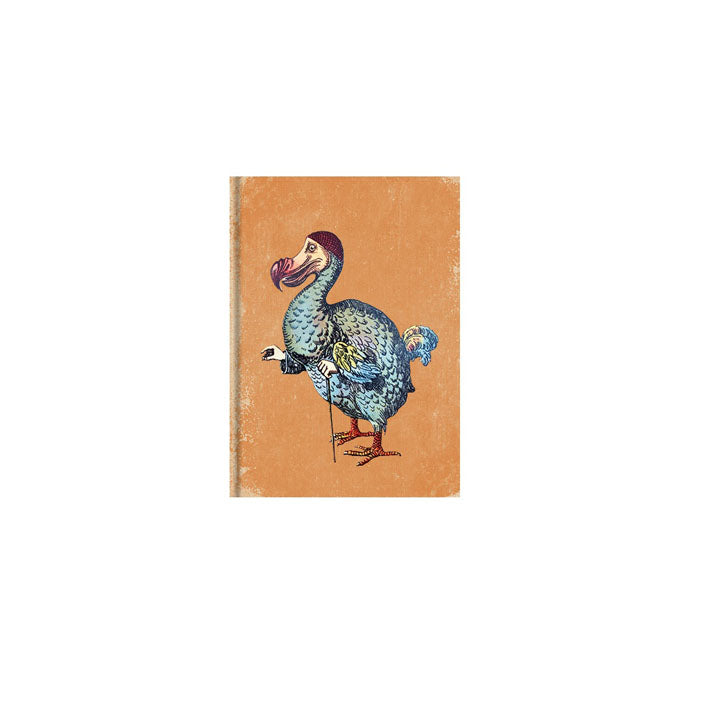 Dodo Magnet