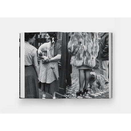 Dog Dogs by Elliot Erwitt