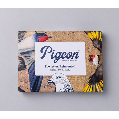 Golden Flight Letter Writing Set
