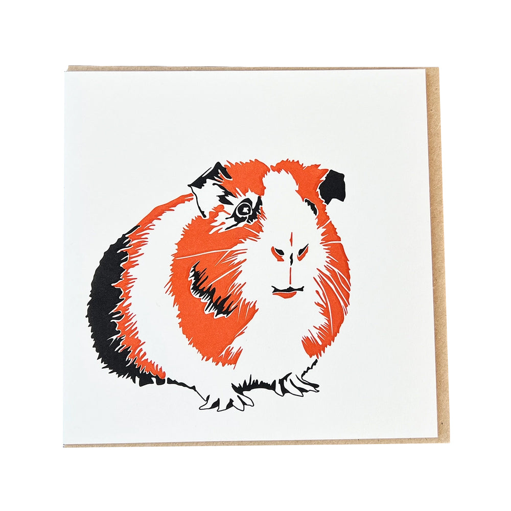 Guinea Pig Greetings Card