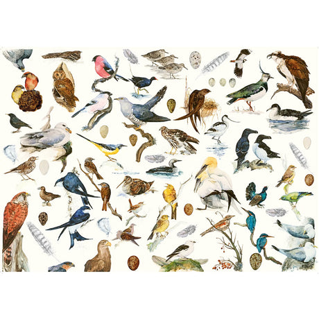 The Book of Birds 1000 Piece Jigsaw