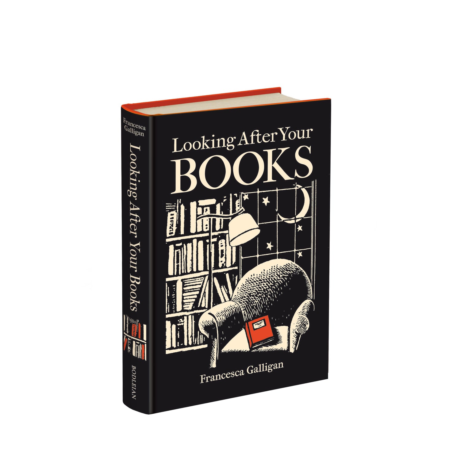 Looking After Your Books