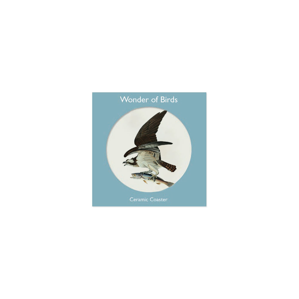 Audubon's Osprey Coaster