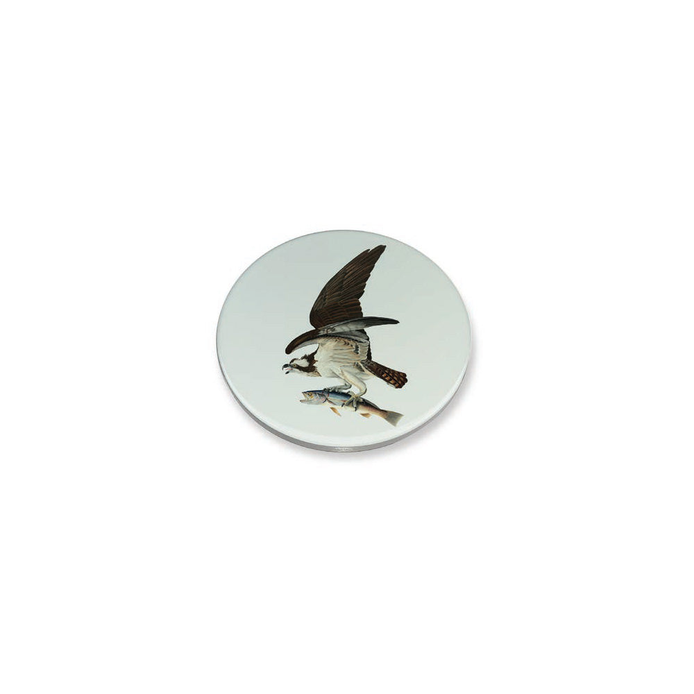 Audubon's Osprey Coaster