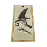 Audubon's Osprey Box of Pencil Crayons