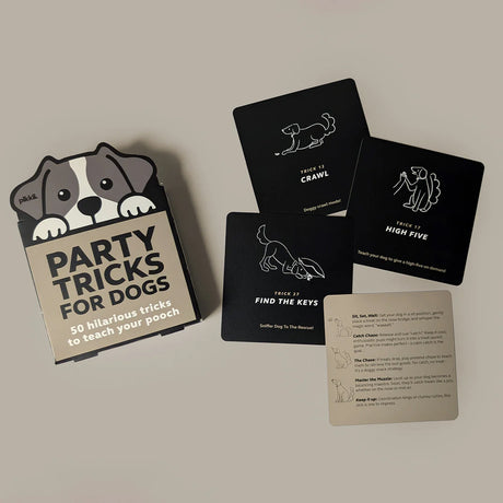 Party Tricks for Dogs