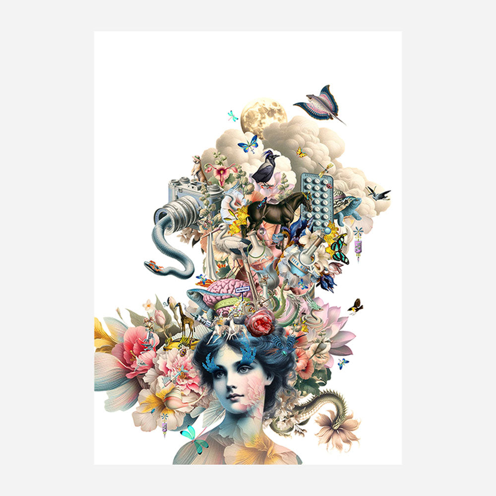Kristjana Williams x Bodleian Libraries Postcard (assorted)