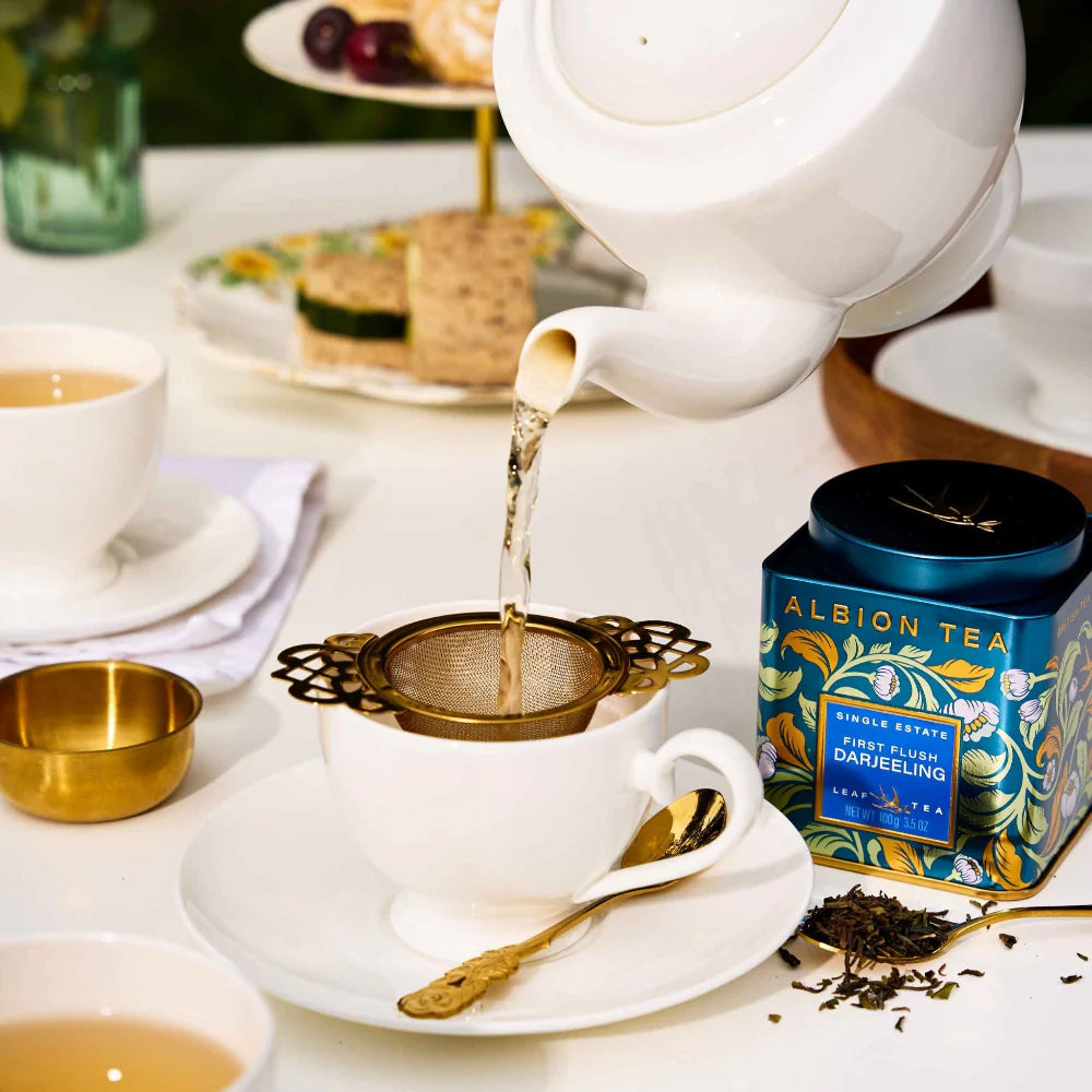 Albion Tea Strainer