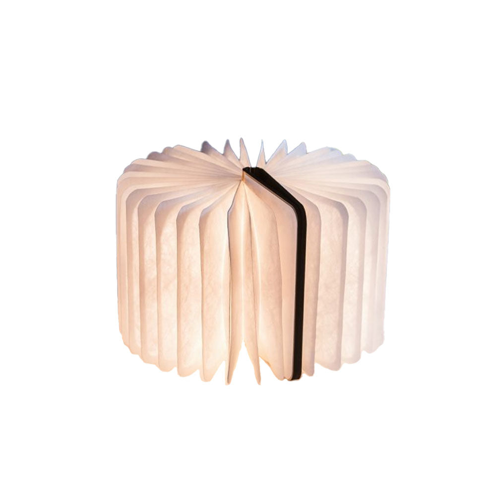Large Maple Book Light