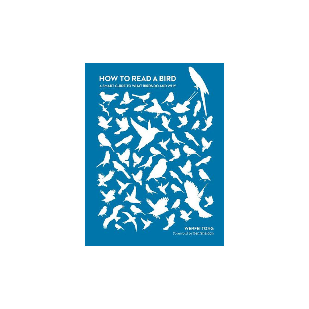 How to Read a Bird: A Smart Guide PB