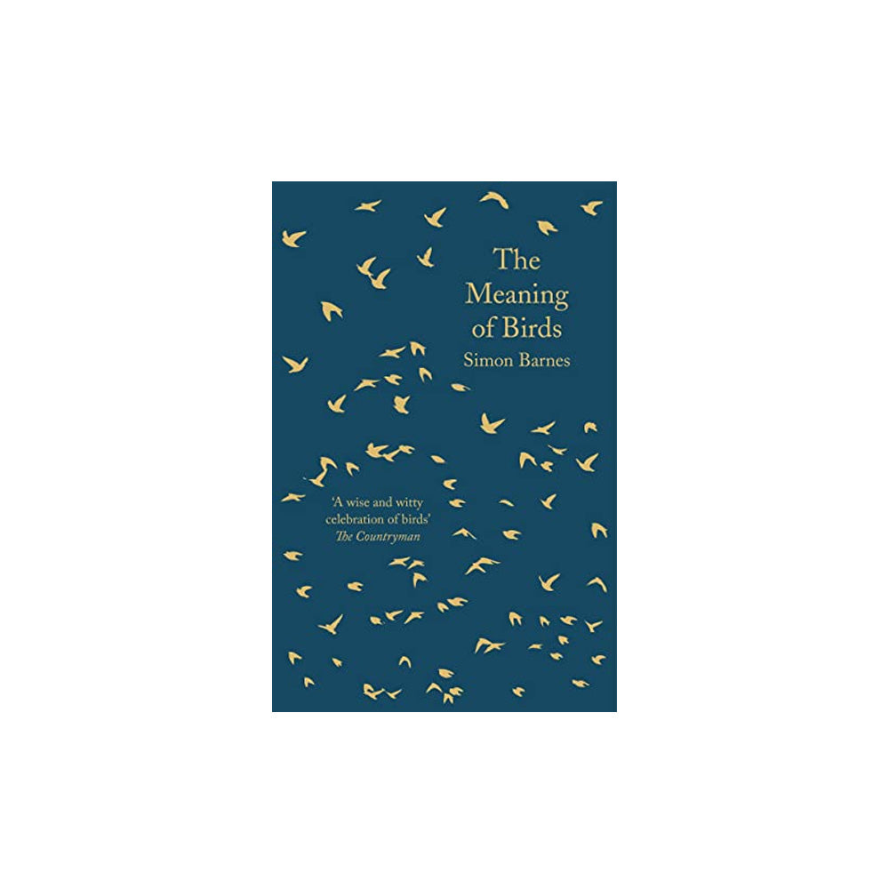 The Meaning of Birds