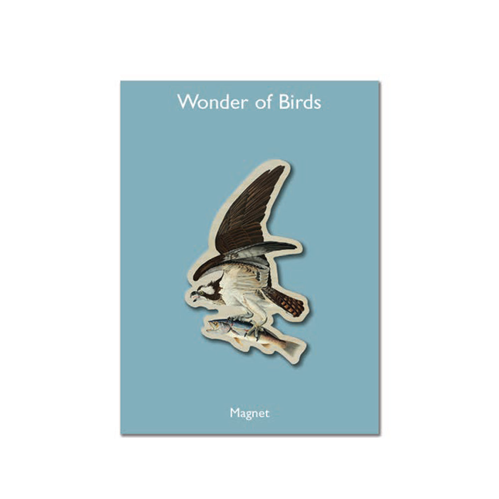 Audubon's Osprey and Weakfish Wooden Magnet