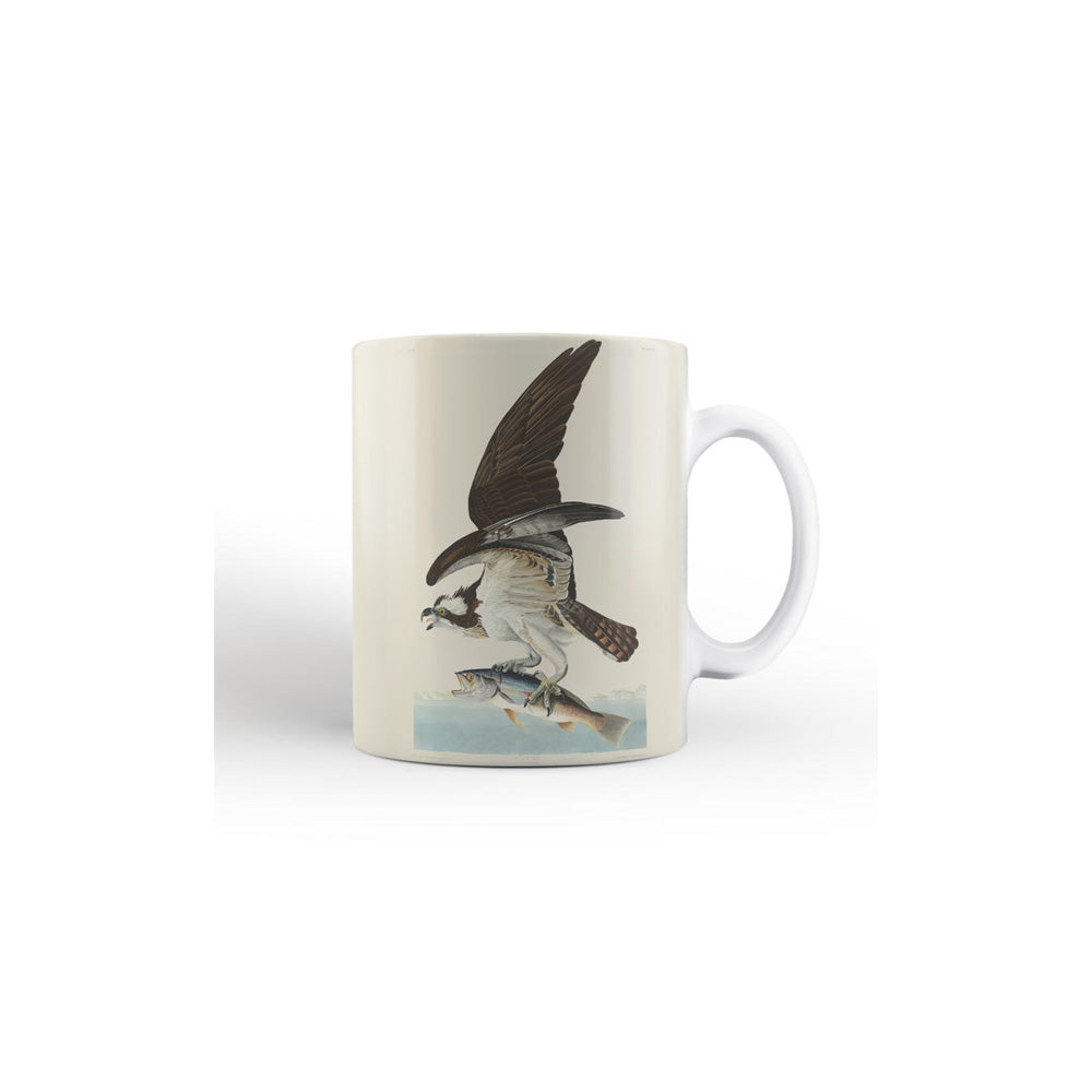 Audubon's Osprey Earthenware Mug