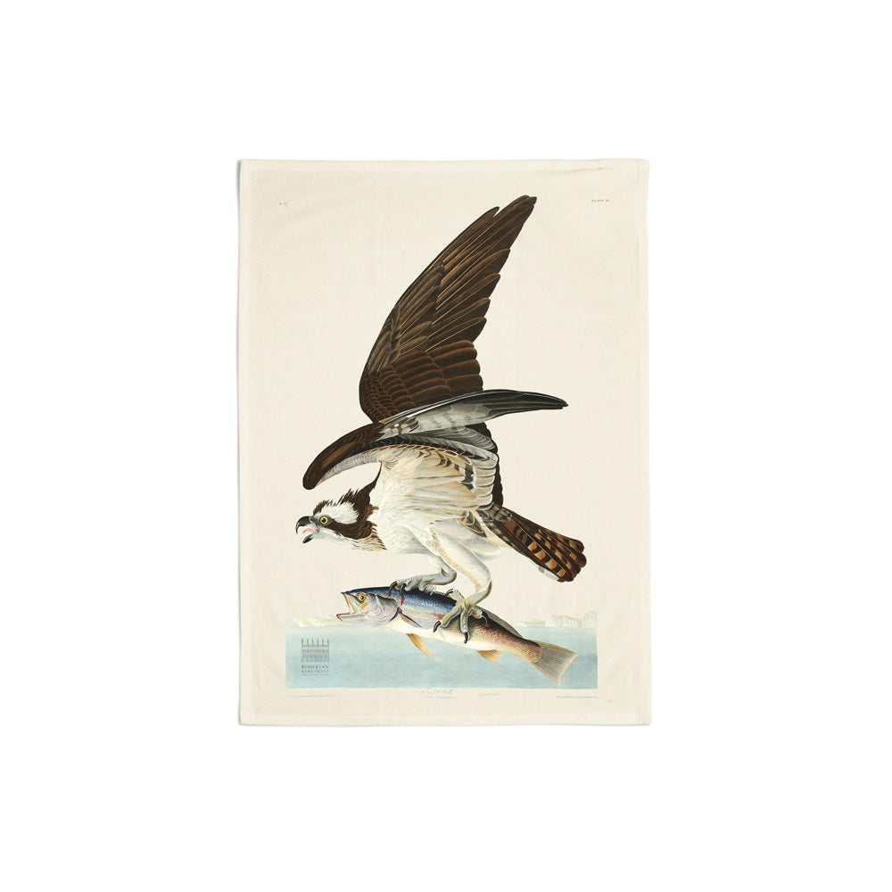 Audubon's Osprey Tea Towel