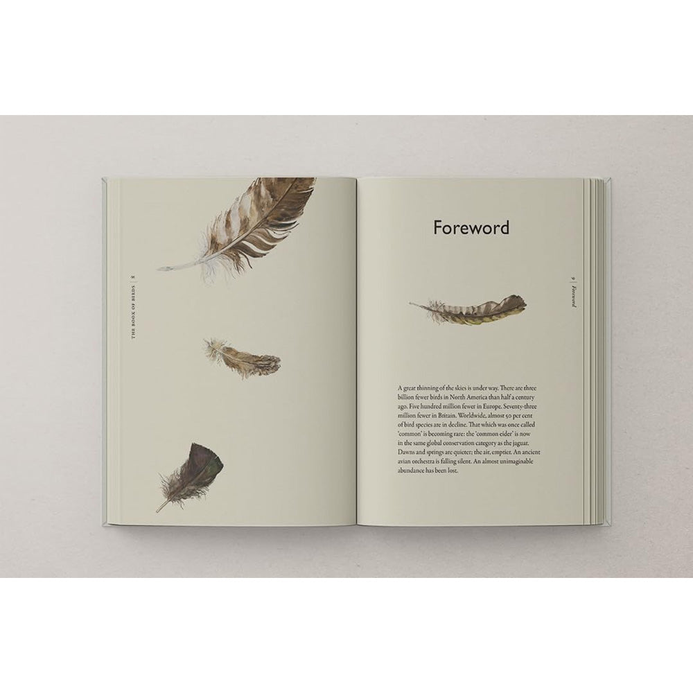 The Book of Birds: A Field Guide to Wonder and Loss