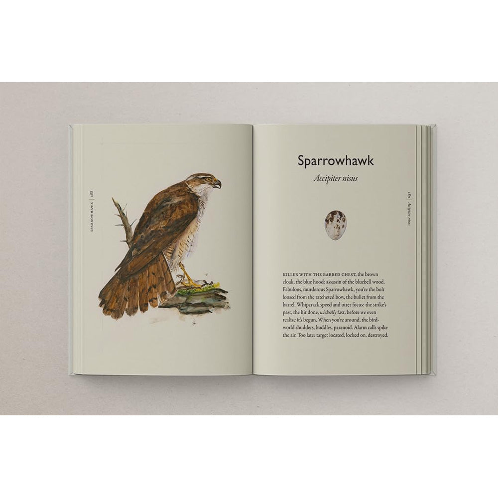 The Book of Birds: A Field Guide to Wonder and Loss